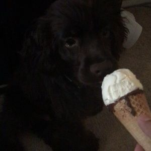 Meet your Posher, Teresa